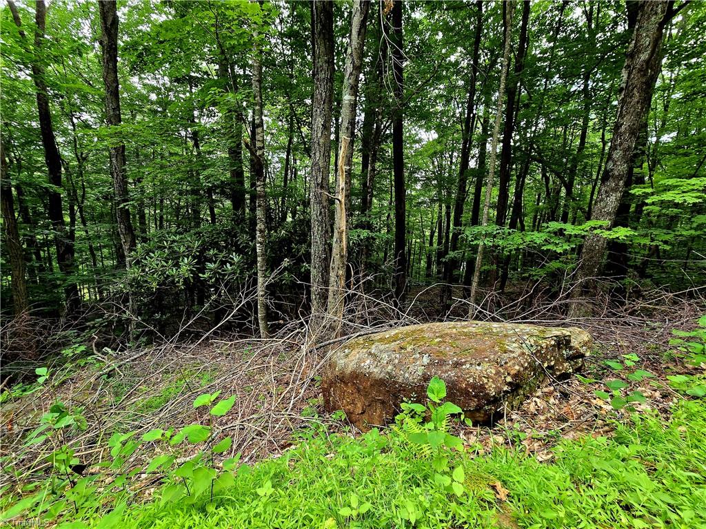 Tbd Red Fox Trail Property Photo 15