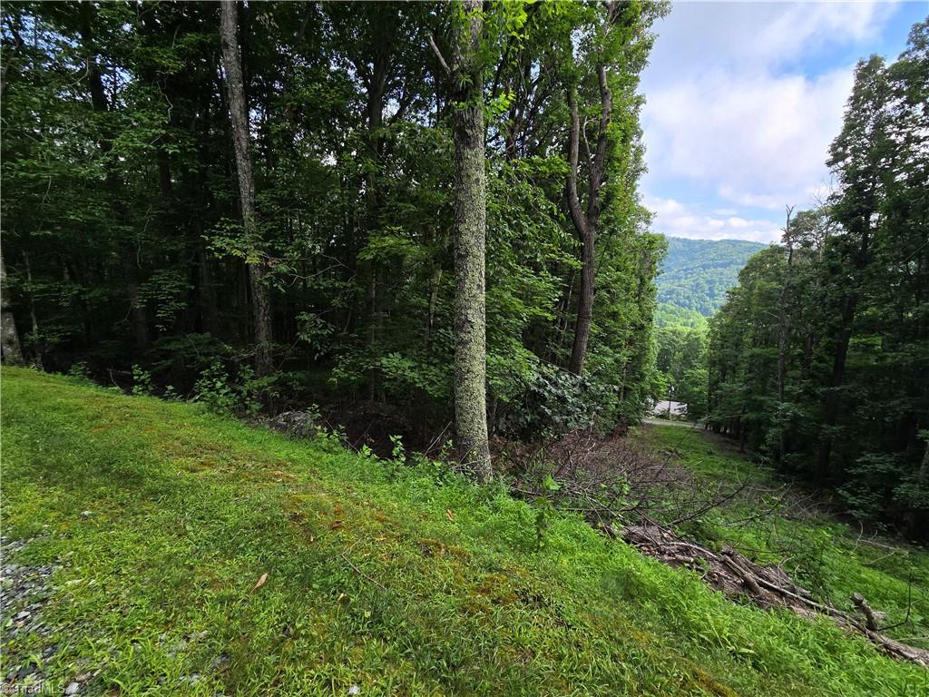 Tbd Red Fox Trail Property Photo 16