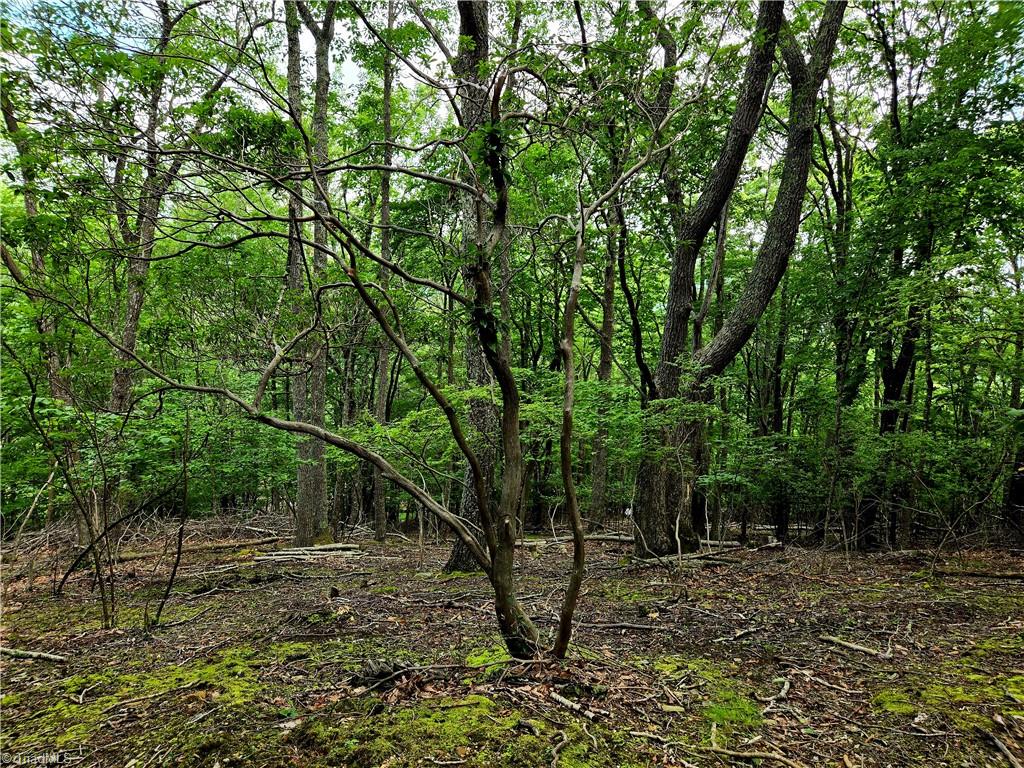 TBD Red Fox Trail Property Photo 1