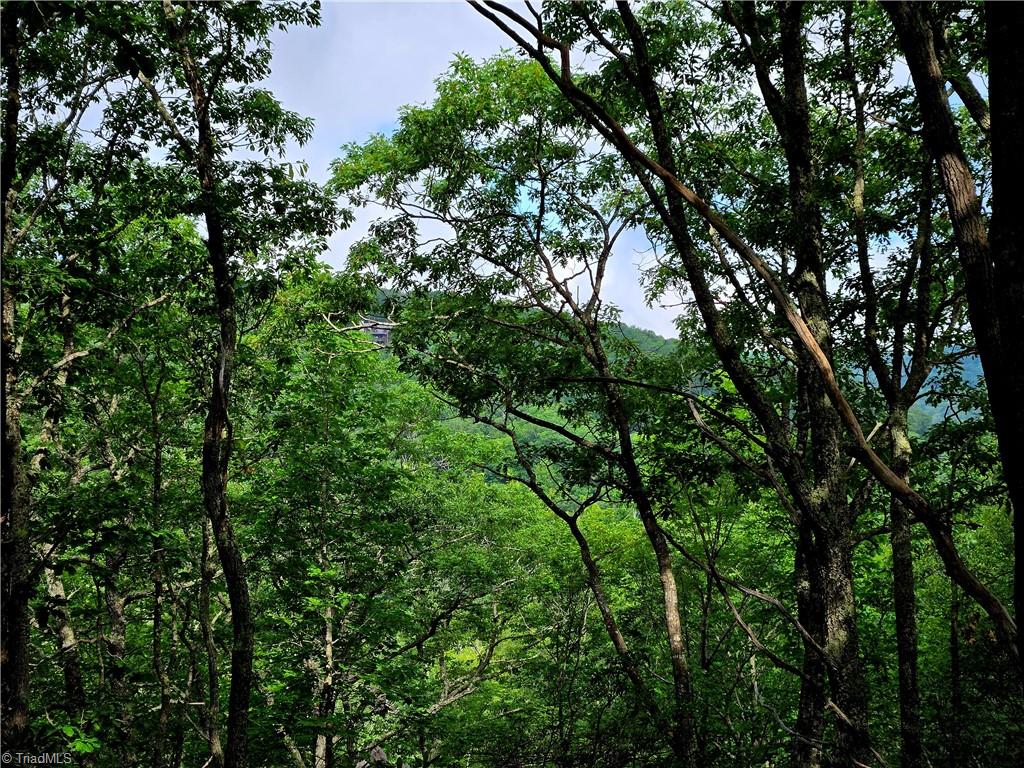 Tbd Red Fox Trail Property Photo 2