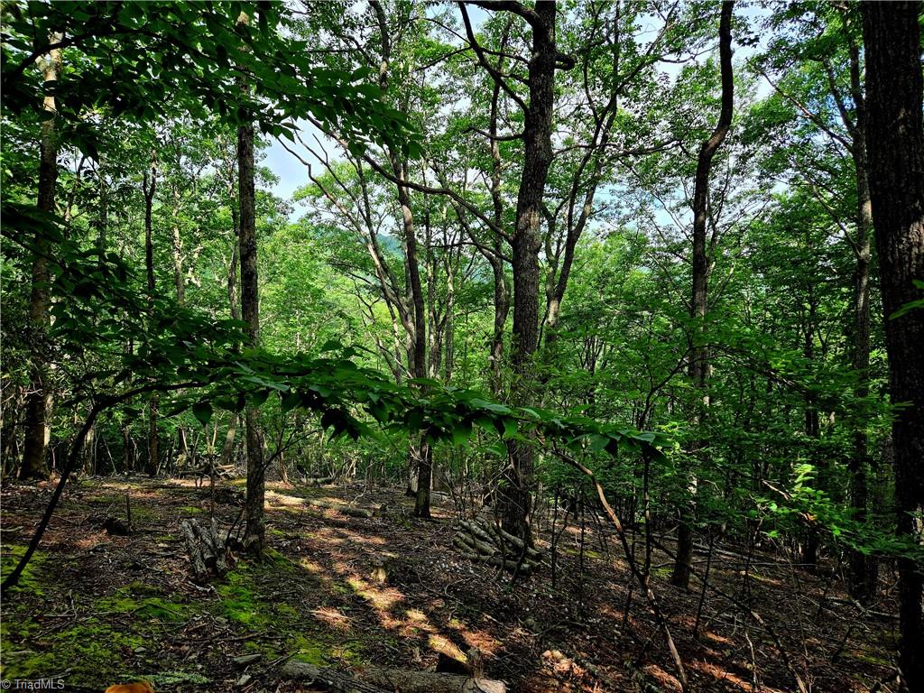 Tbd Red Fox Trail Property Photo 3