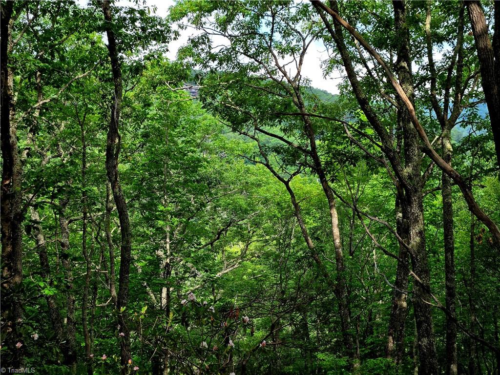 Tbd Red Fox Trail Property Photo 4