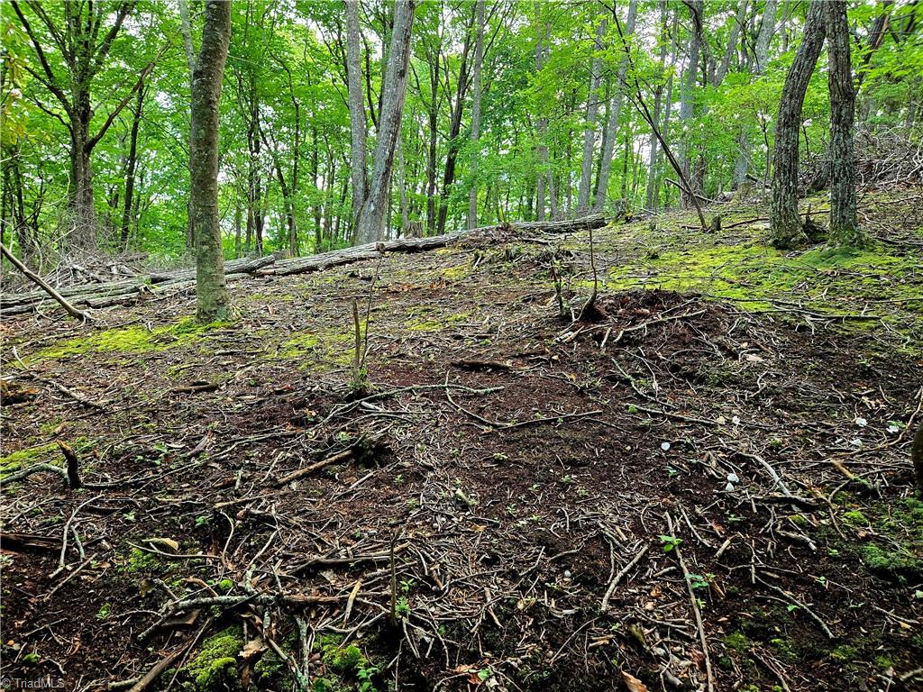 Tbd Red Fox Trail Property Photo 5