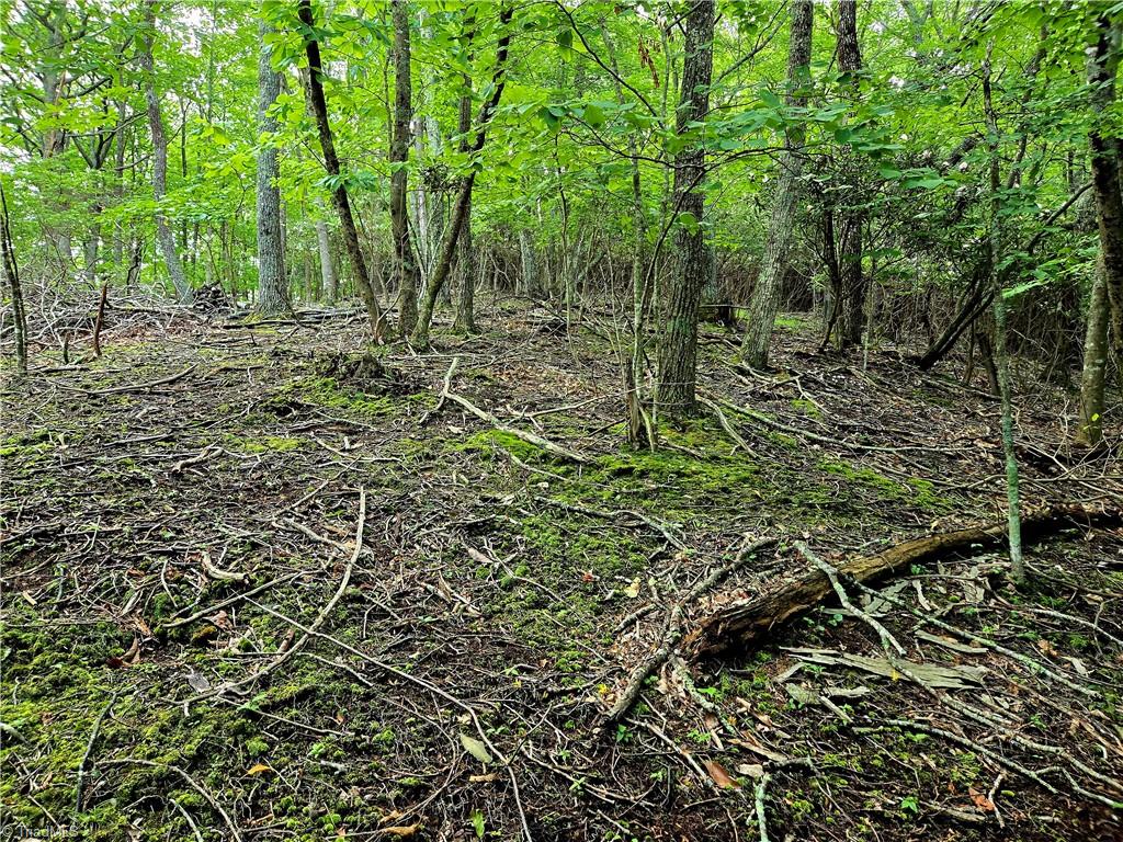 Tbd Red Fox Trail Property Photo 6