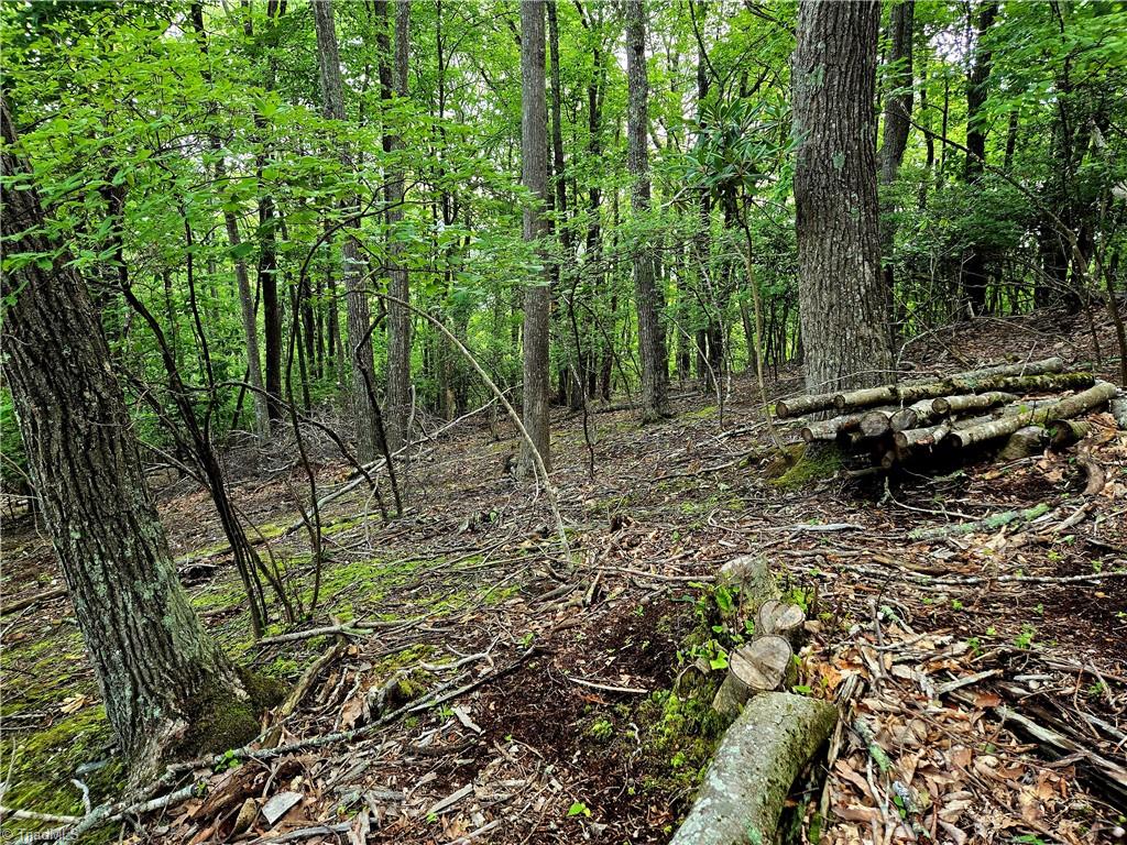 Tbd Red Fox Trail Property Photo 7