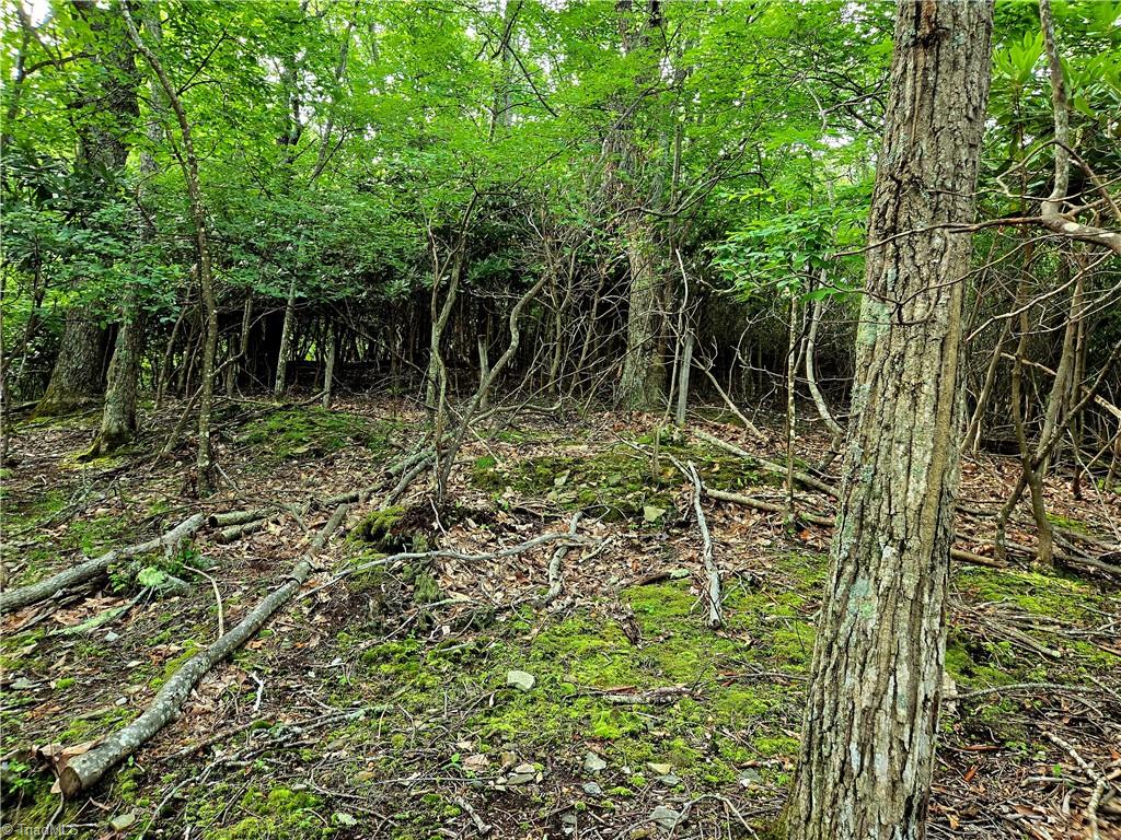 Tbd Red Fox Trail Property Photo 8