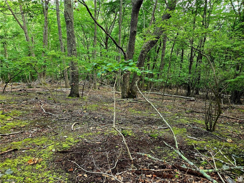Tbd Red Fox Trail Property Photo 9
