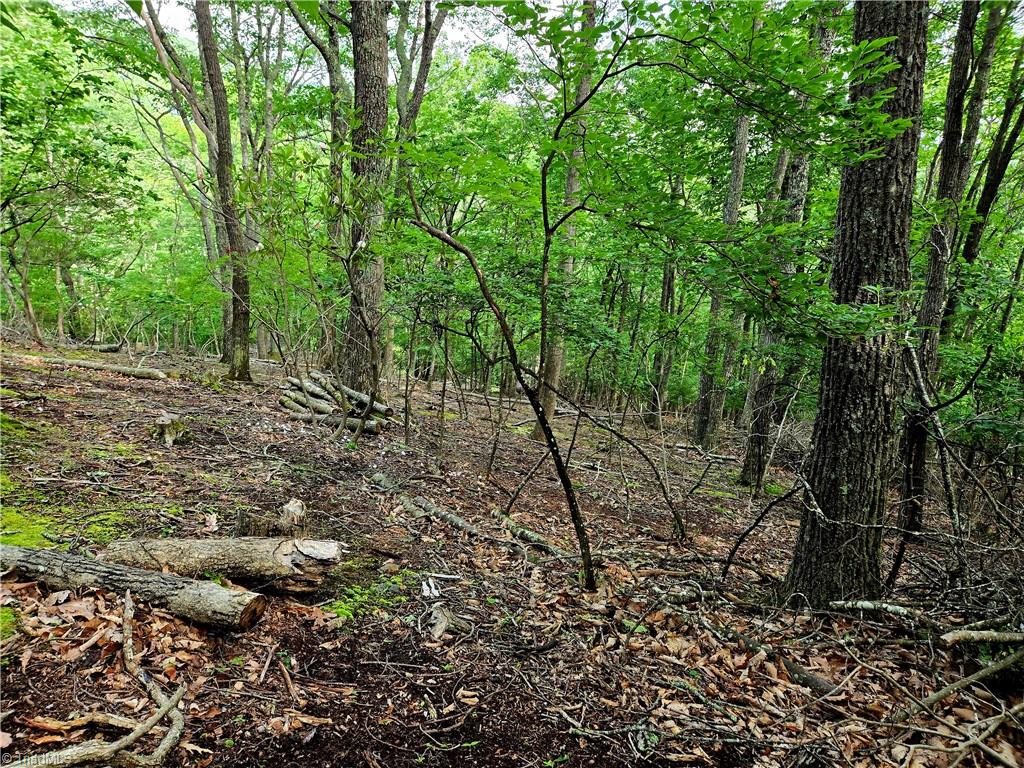 Tbd Red Fox Trail Property Photo 10