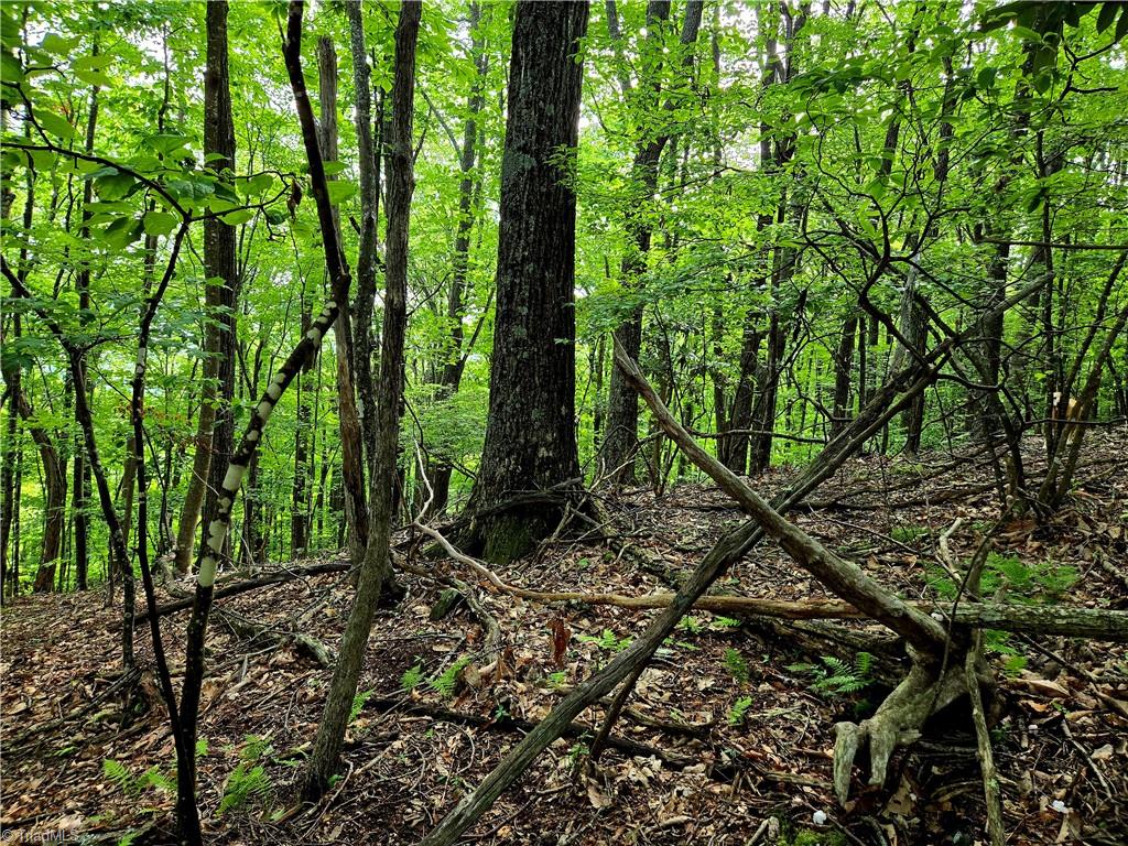 Tbd Red Fox Trail Property Photo 11