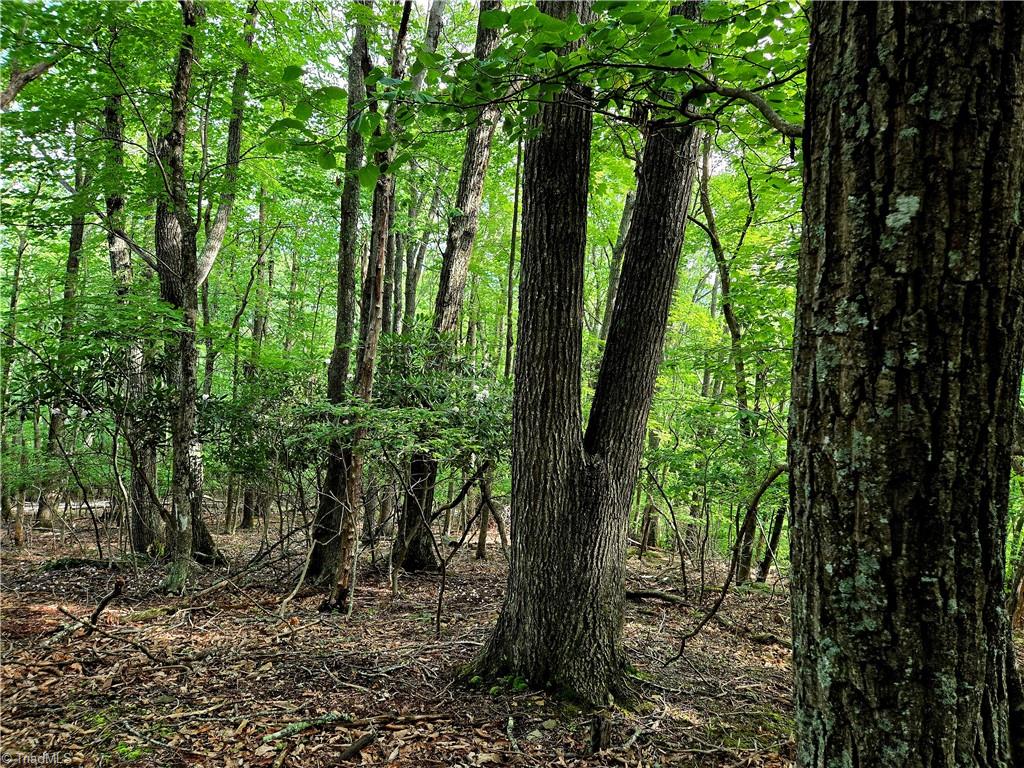 Tbd Red Fox Trail Property Photo 12