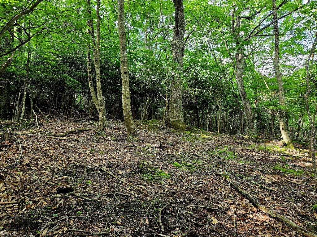 Tbd Red Fox Trail Property Photo 13