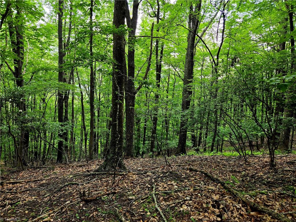Tbd Red Fox Trail Property Photo 14