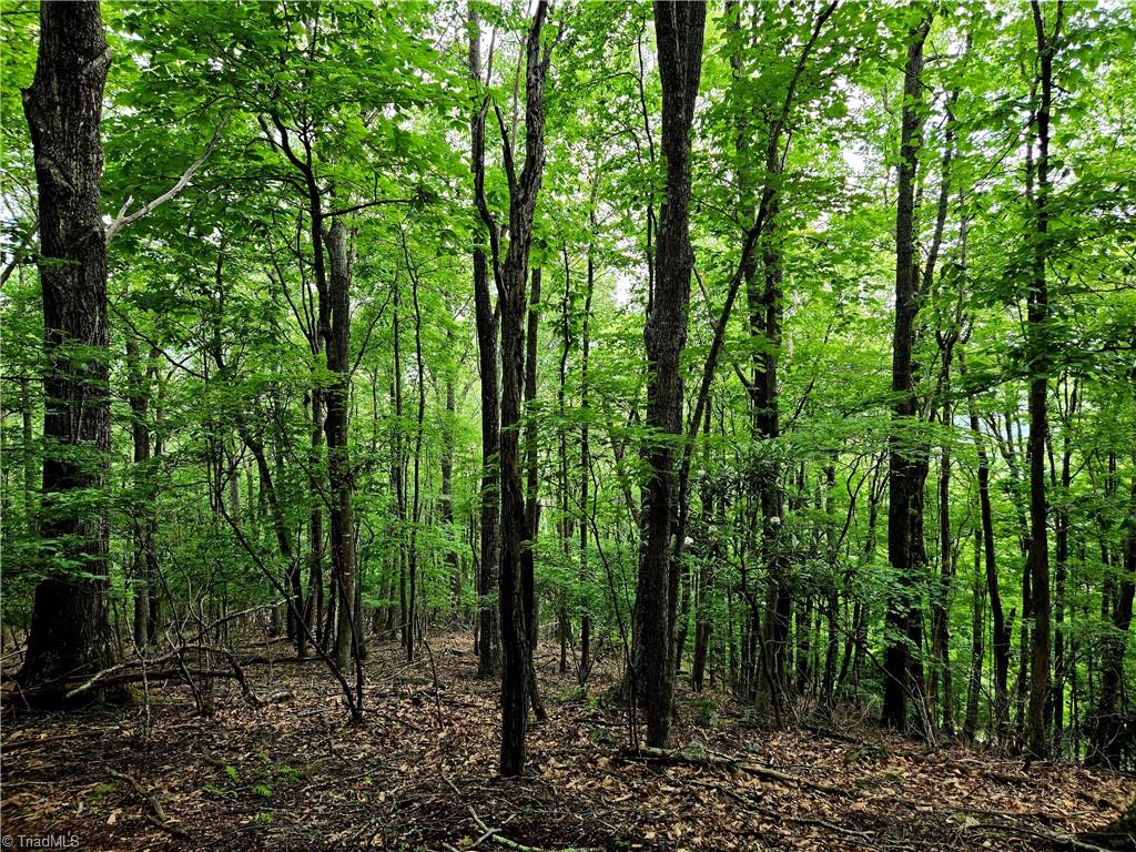 Tbd Red Fox Trail Property Photo 15
