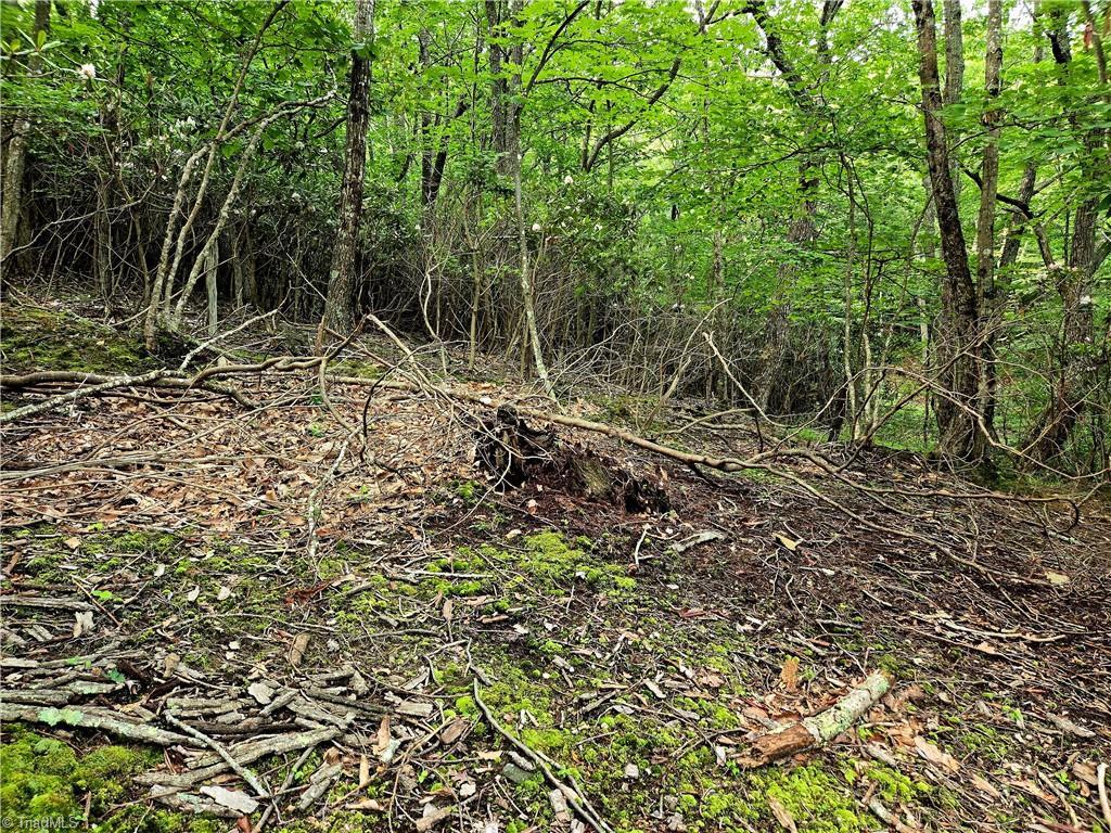Tbd Red Fox Trail Property Photo 16