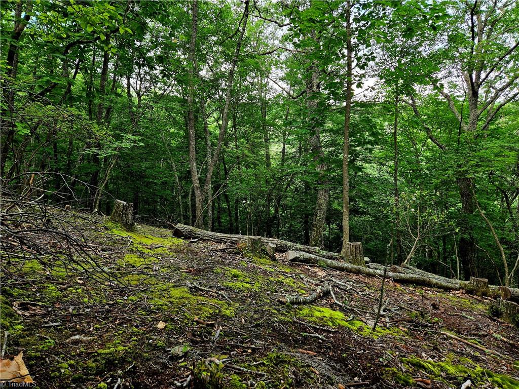 Tbd Red Fox Trail Property Photo 18