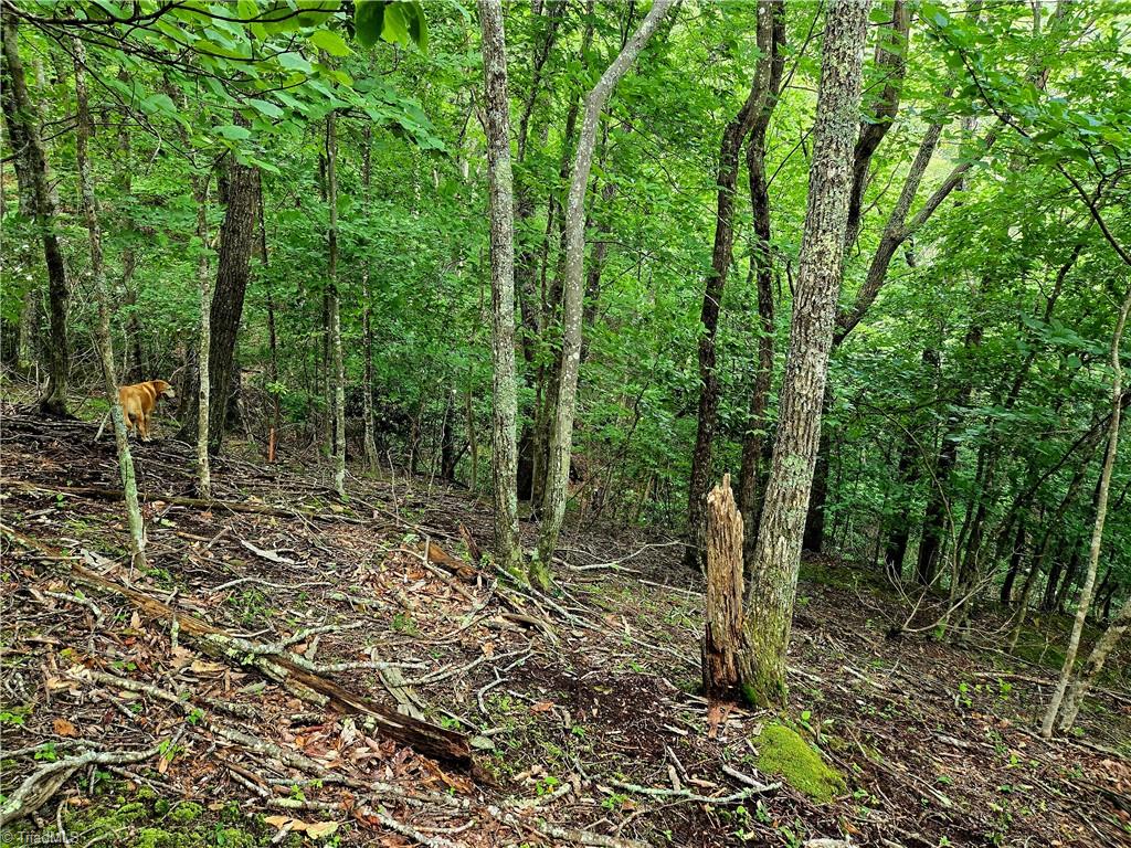 Tbd Red Fox Trail Property Photo 19