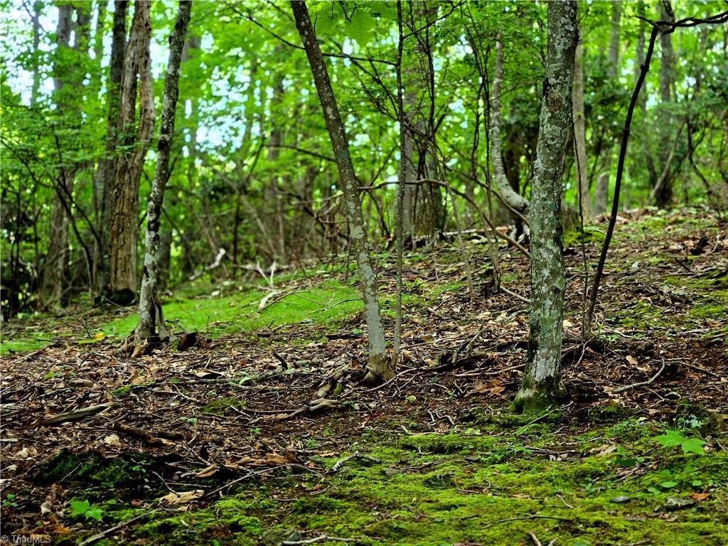 Tbd Red Fox Trail Property Photo 21