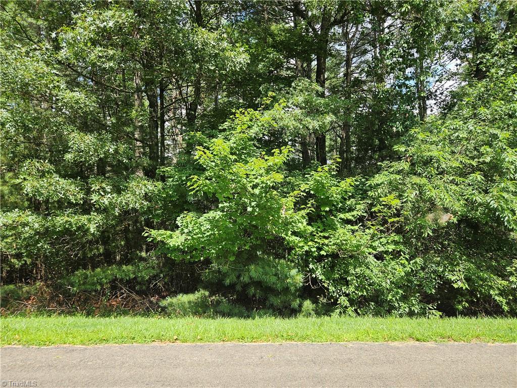 Tbd Holly Run Property Photo 1