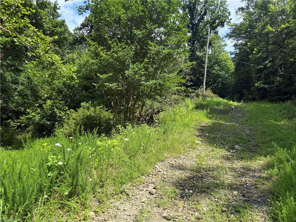 24 Copperhead Road Property Photo 1