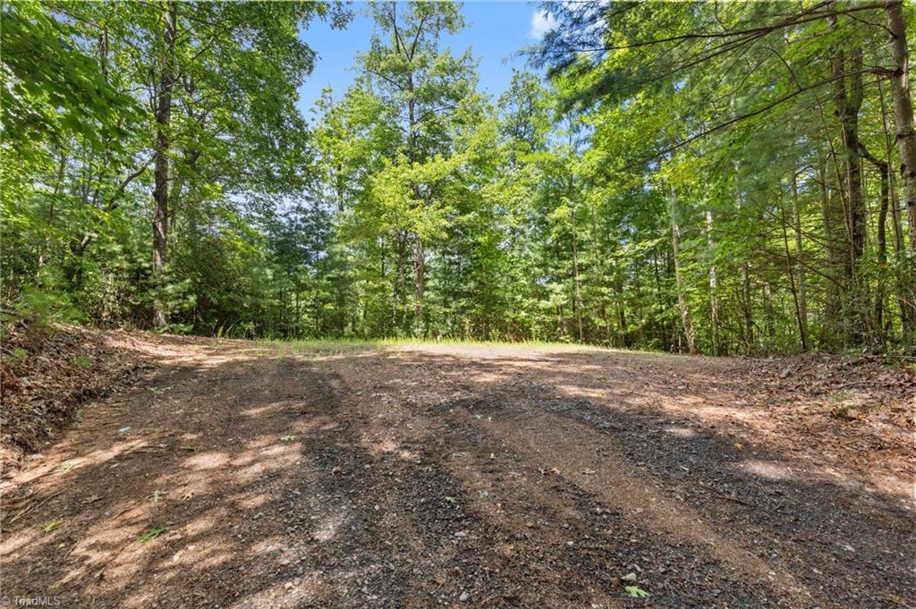 00 Clear Branch Drive Property Photo 2