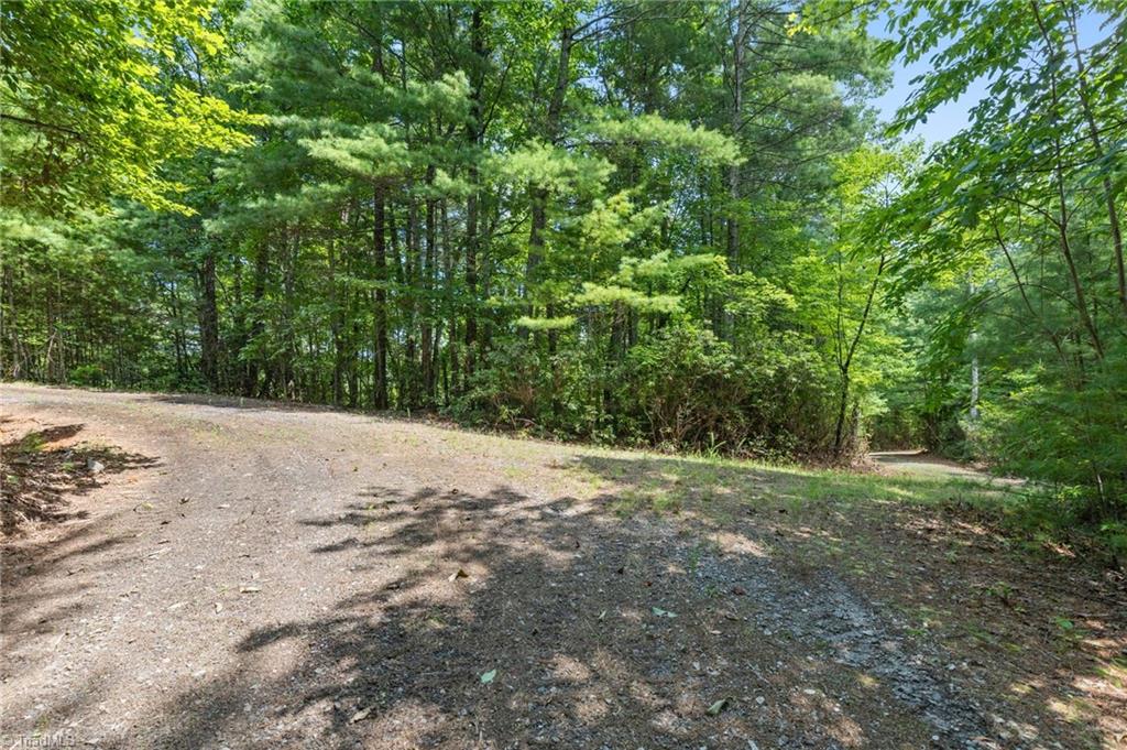 00 Clear Branch Drive Property Photo 3