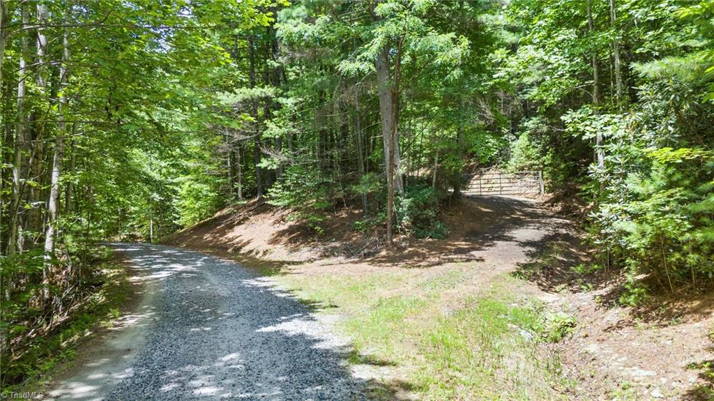 00 Clear Branch Drive Property Photo 6