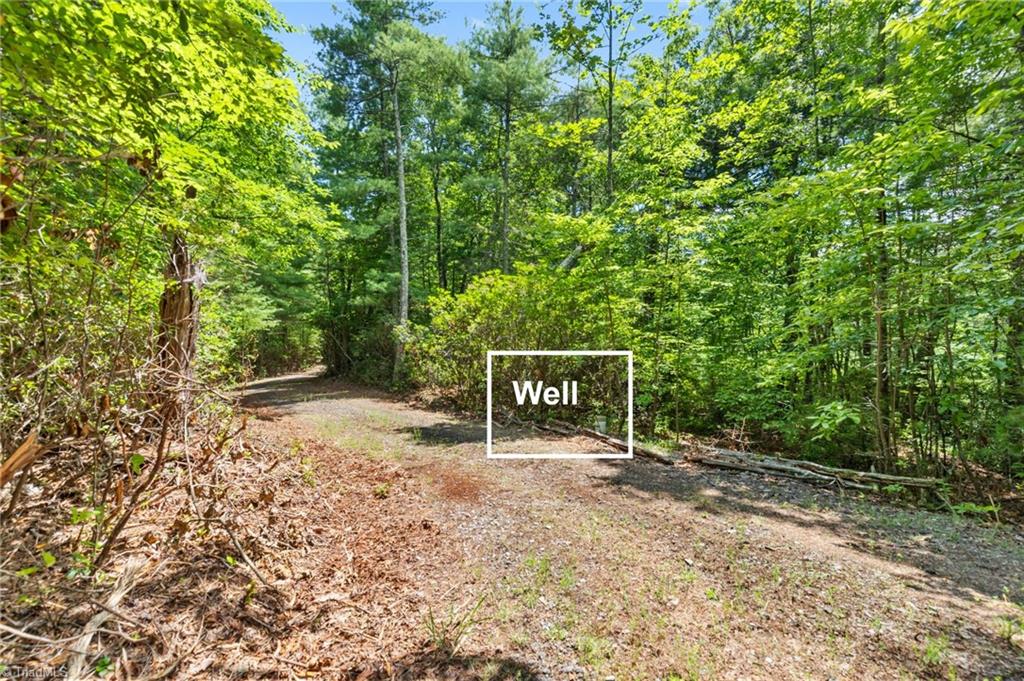 00 Clear Branch Drive Property Photo 7
