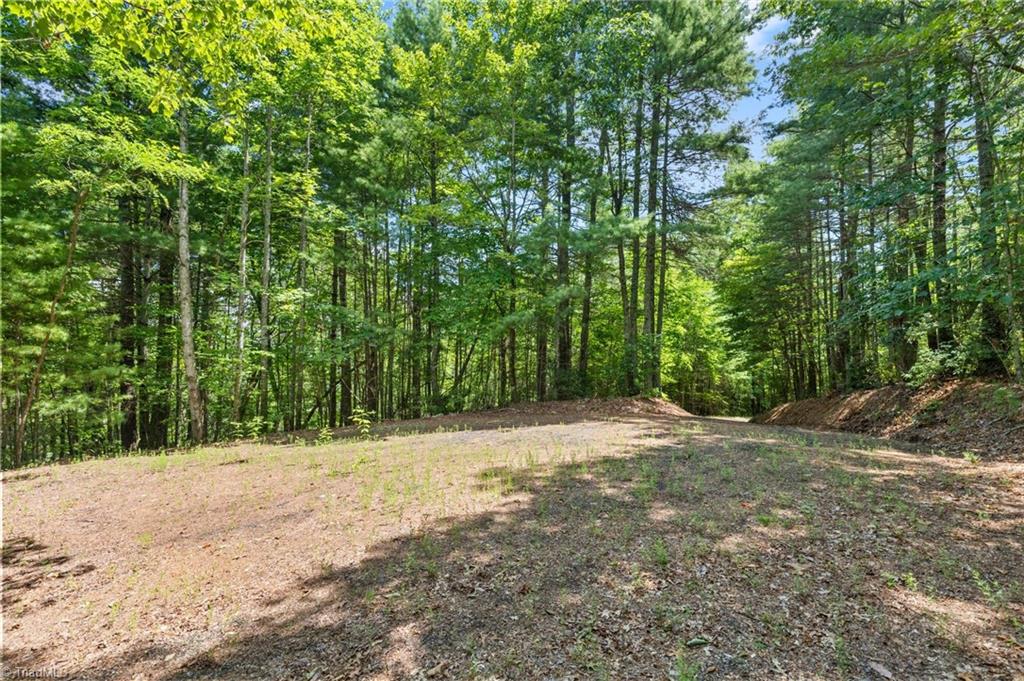00 Clear Branch Drive Property Photo 9
