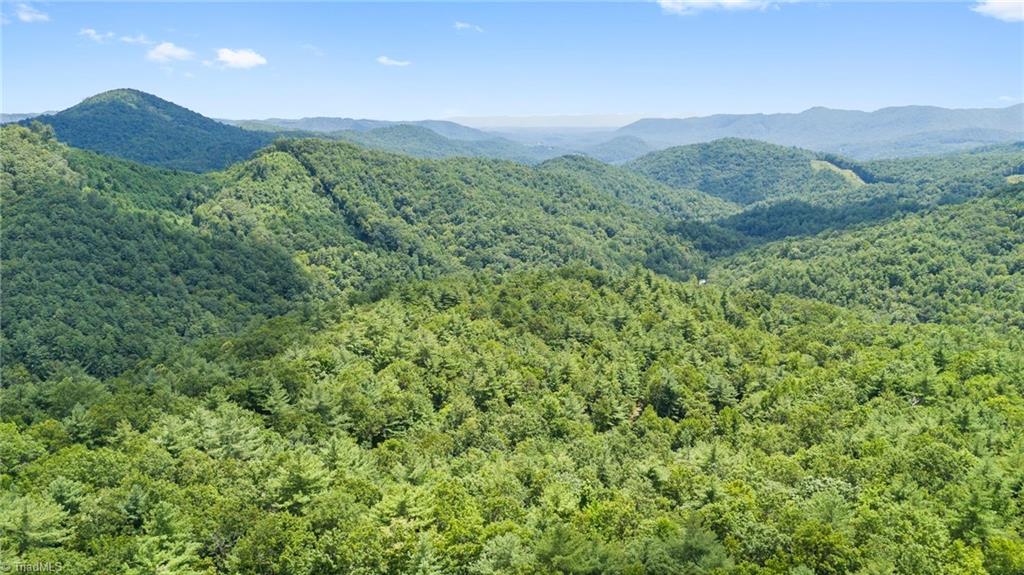00 Clear Branch Drive Property Photo 10