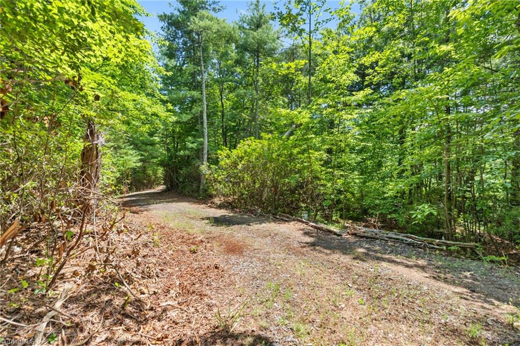 00 Clear Branch Drive Property Photo 11