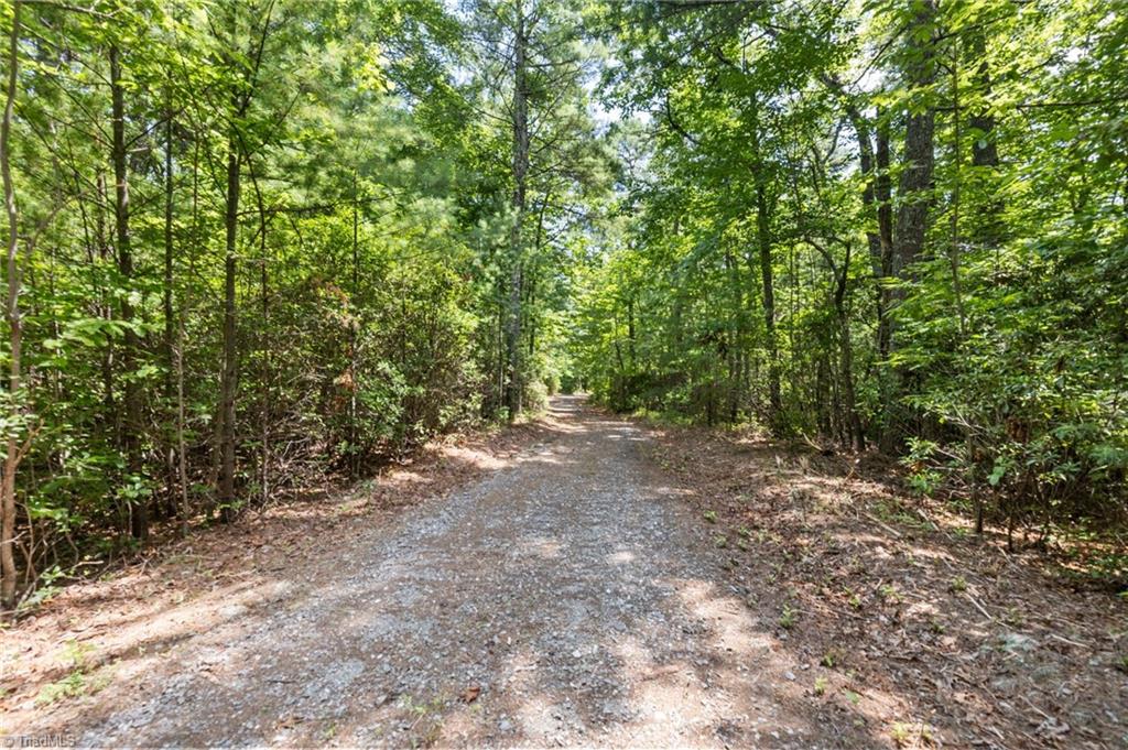00 Clear Branch Drive Property Photo 12