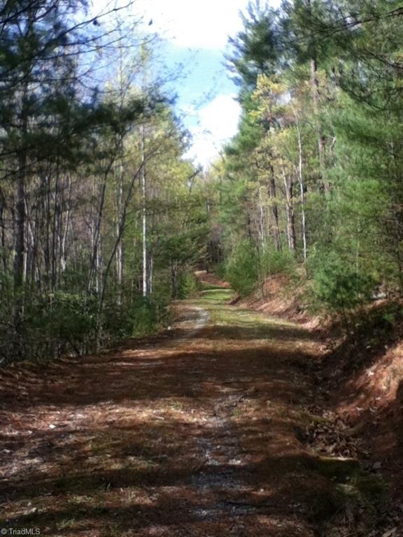00 Clear Branch Drive Property Photo 13
