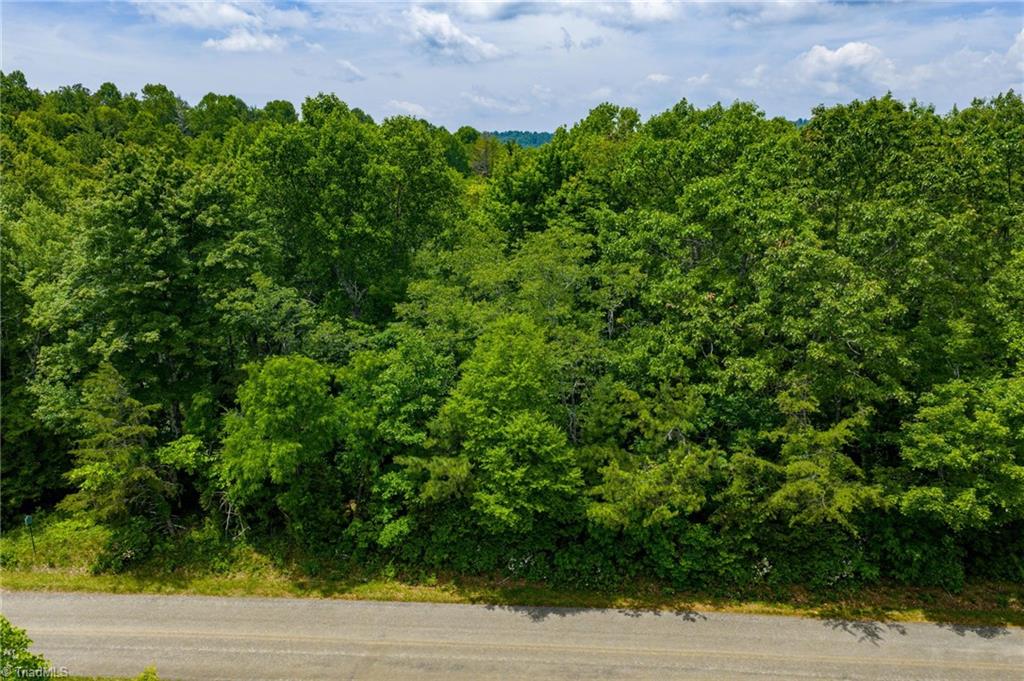 Tbd Air Bellows Gap Road # 5 Property Photo 1