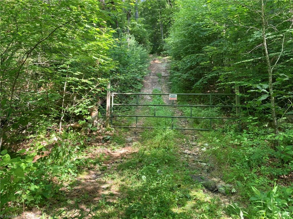 000 Timber Rock Drive Property Photo 4