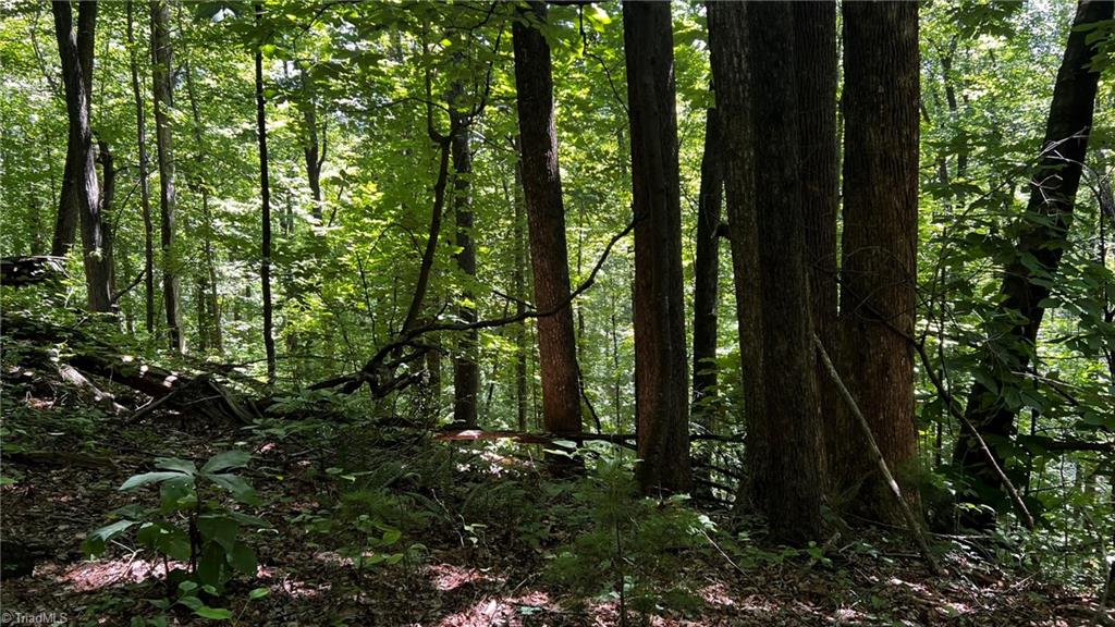 000 Timber Rock Drive Property Photo 17
