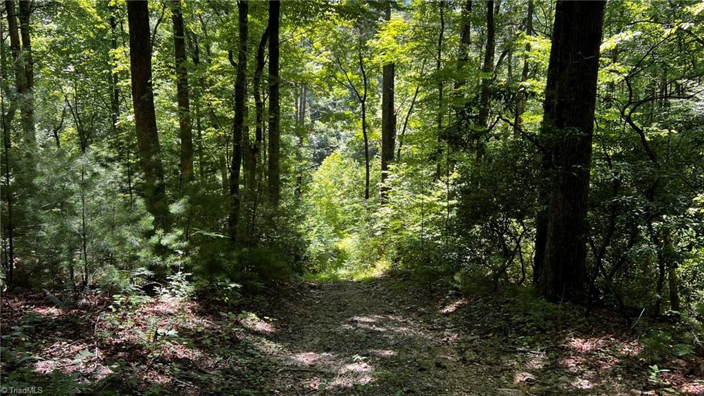 000 Timber Rock Drive Property Photo 18