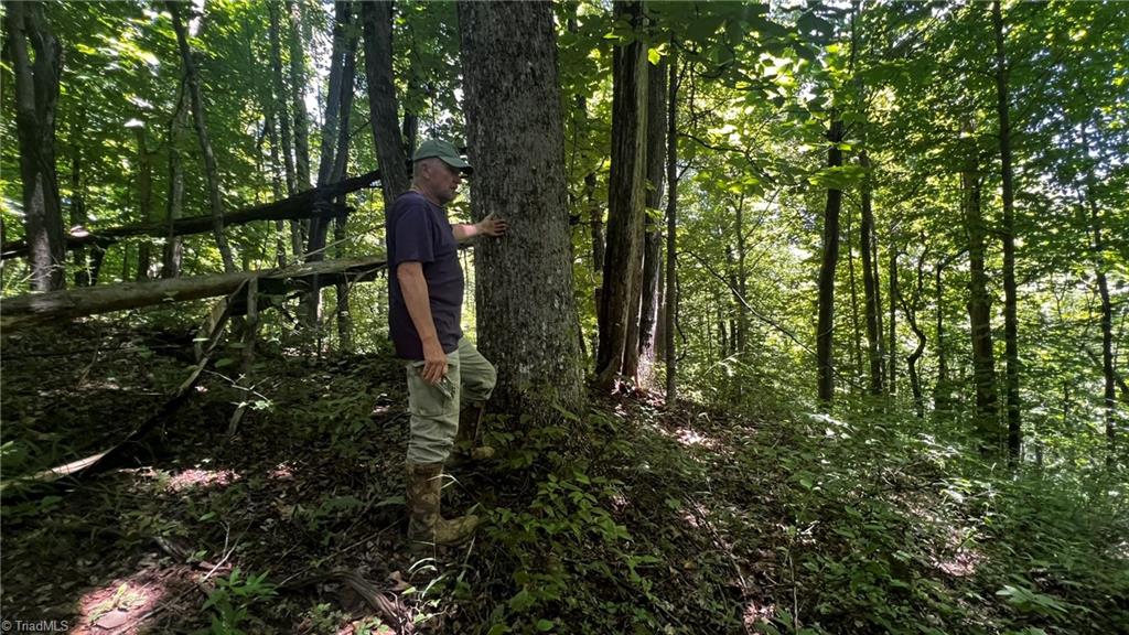 000 Timber Rock Drive Property Photo 19