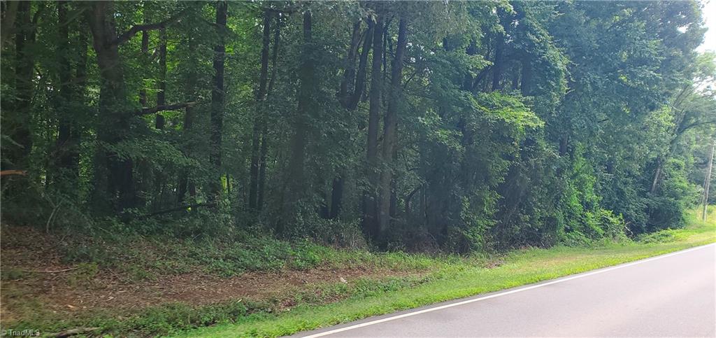 3939 Us Highway 64 W Property Photo 1