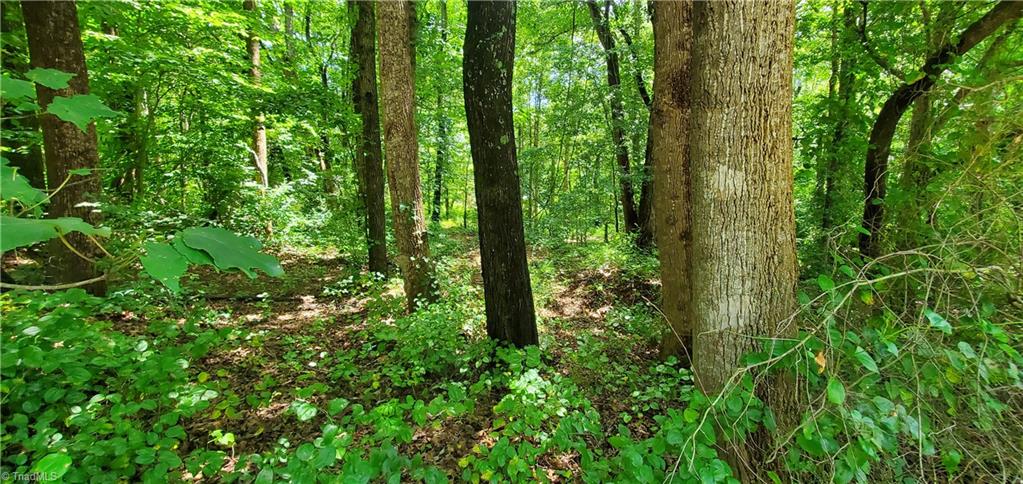 3939 Us Highway 64 W Property Photo 2