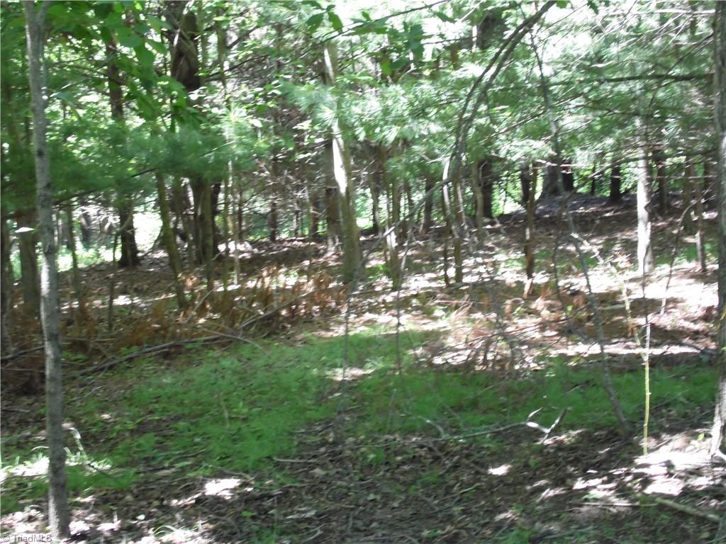 Tbd Hickory View Drive Property Photo 3