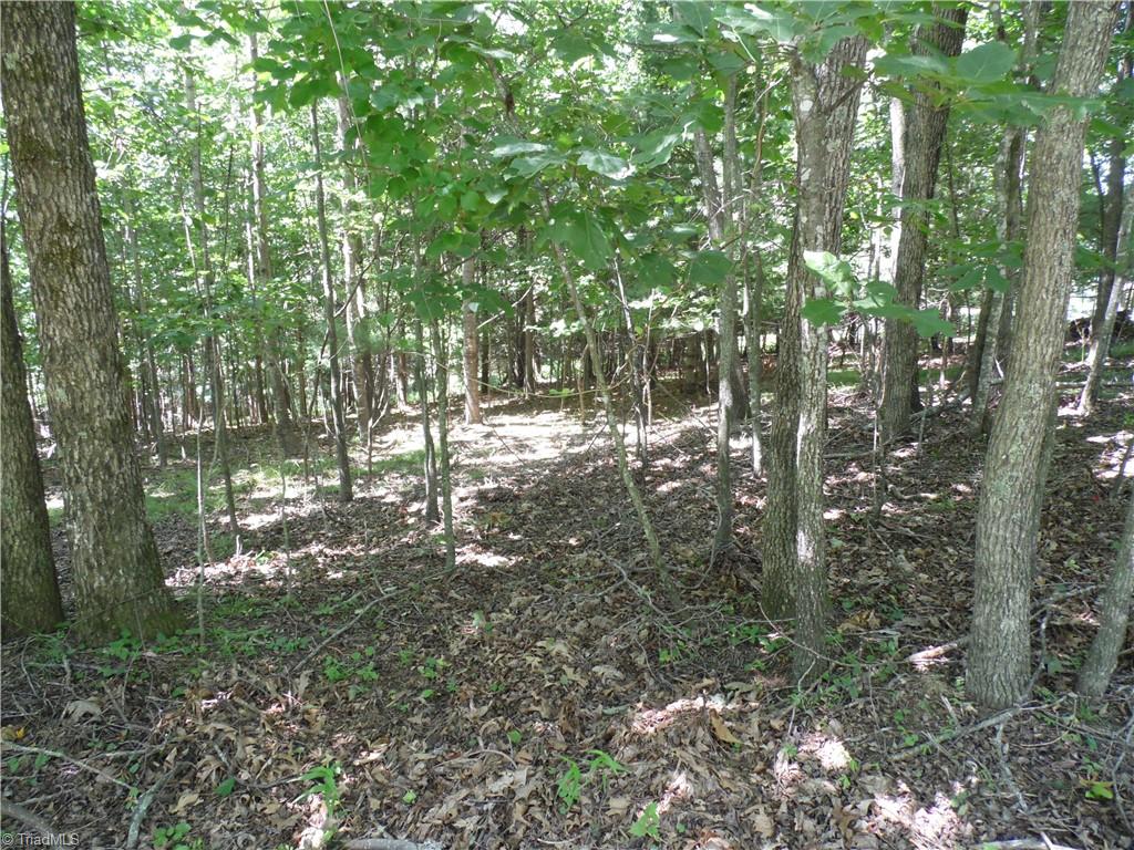 Tbd Hickory View Drive Property Photo 5