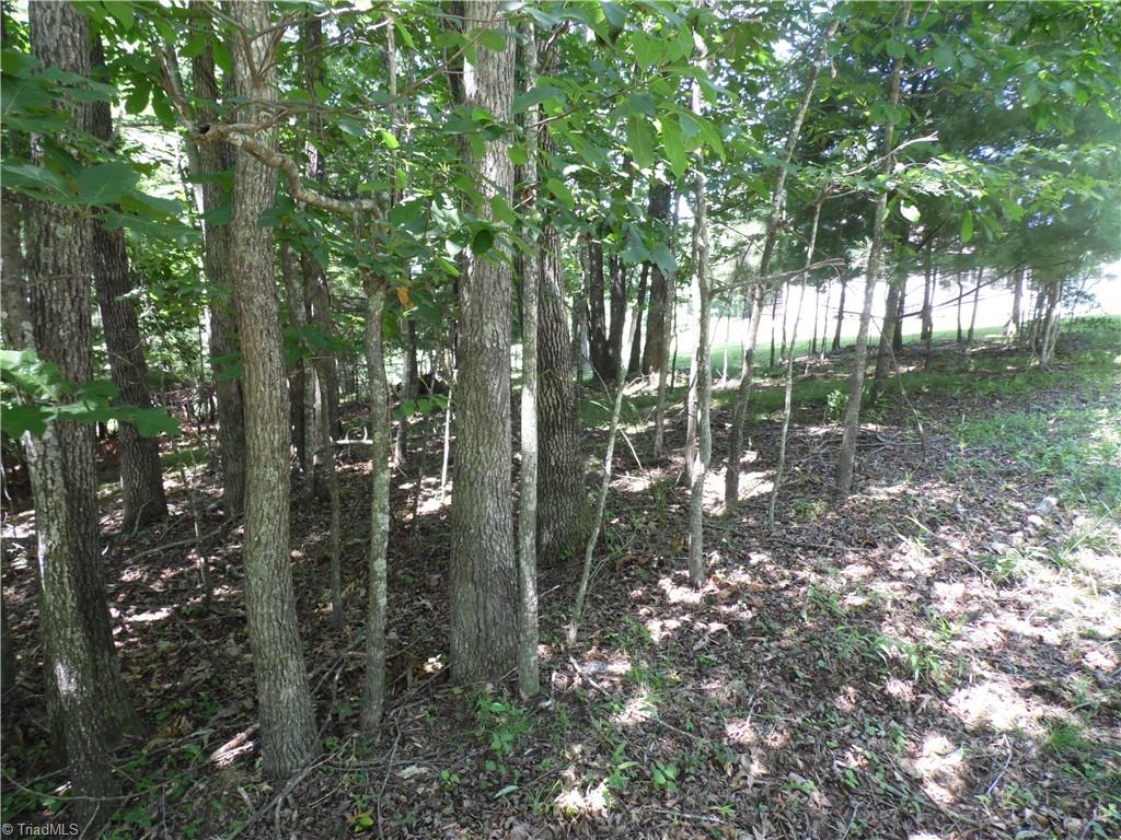 Tbd Hickory View Drive Property Photo 6