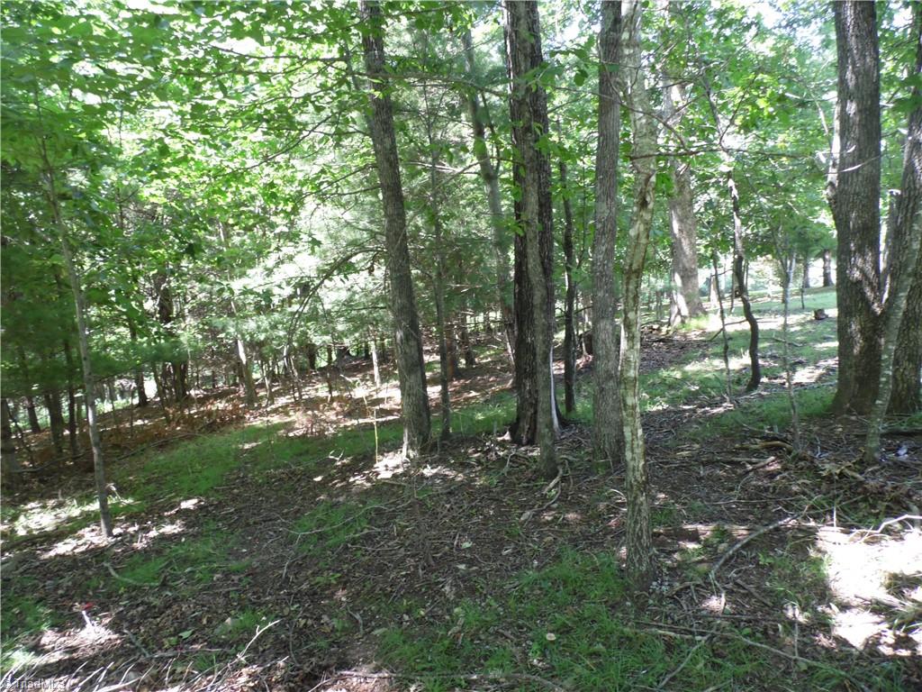 Tbd Hickory View Drive Property Photo 8
