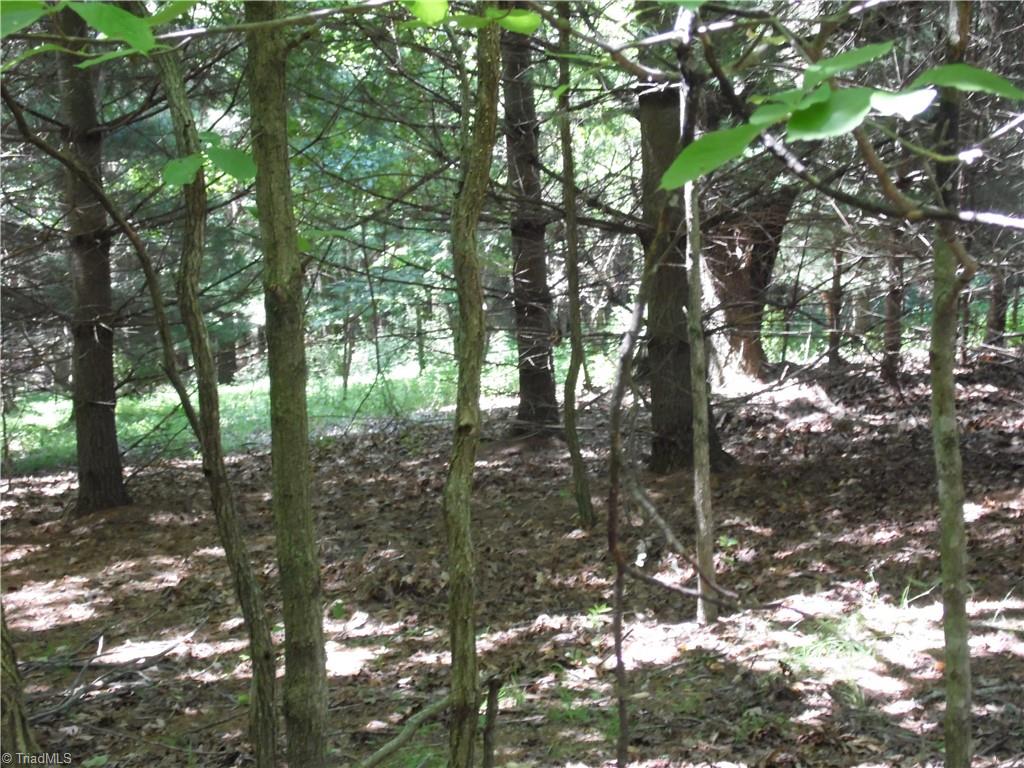 Tbd Hickory View Drive Property Photo 9