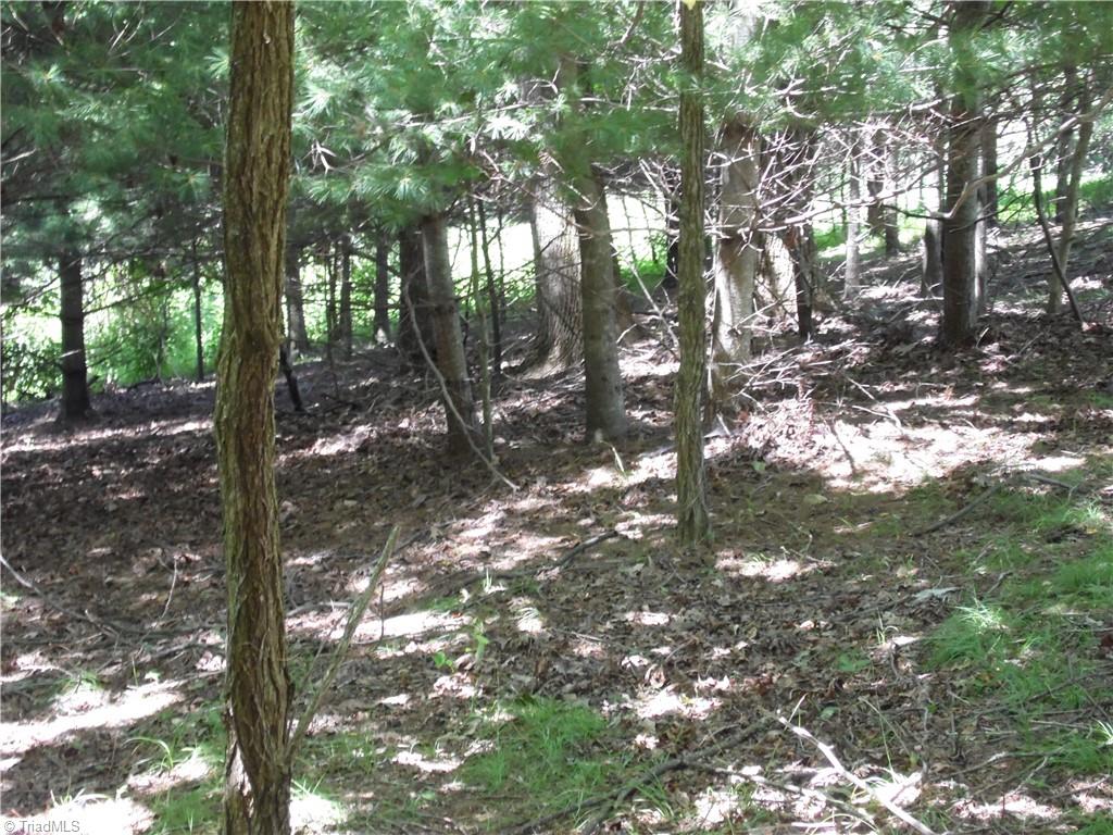 Tbd Hickory View Drive Property Photo 10