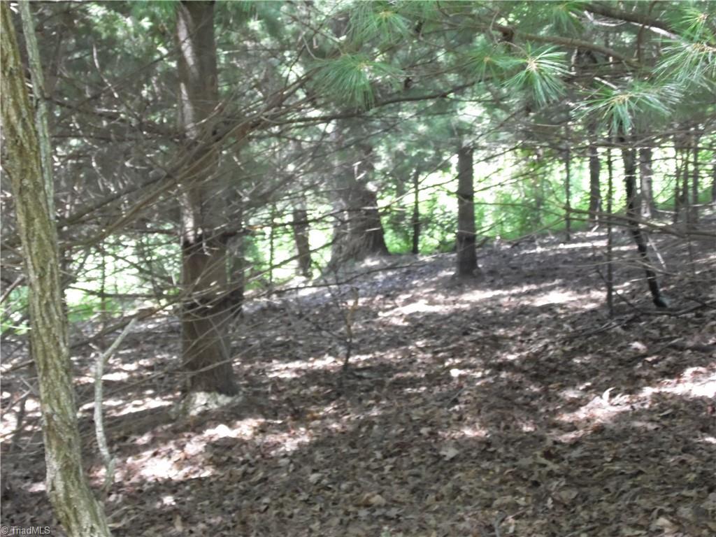 Tbd Hickory View Drive Property Photo 11