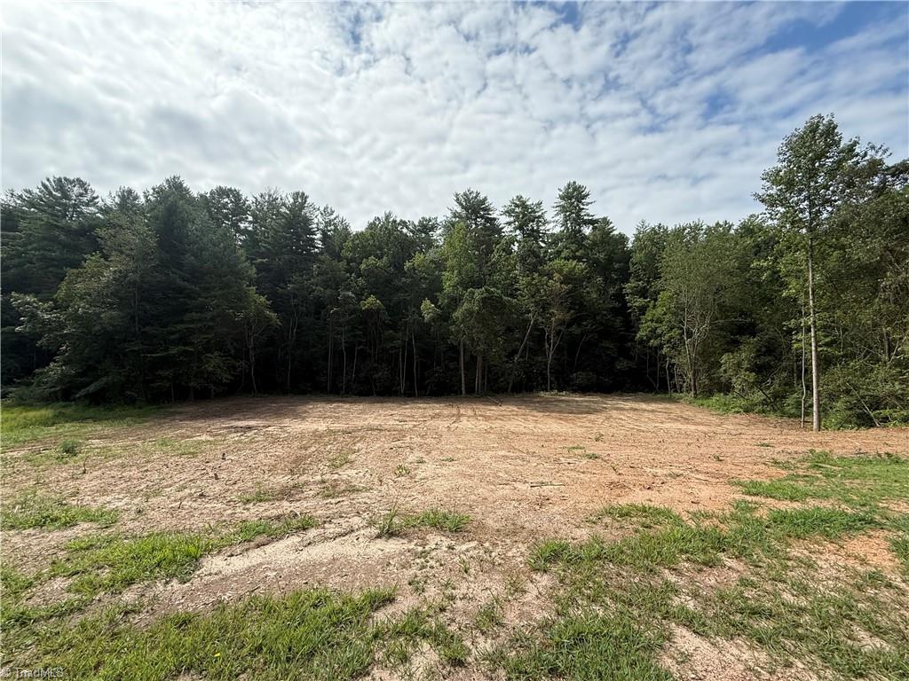 Tbd Mountain Ridge Church Road Property Photo 4