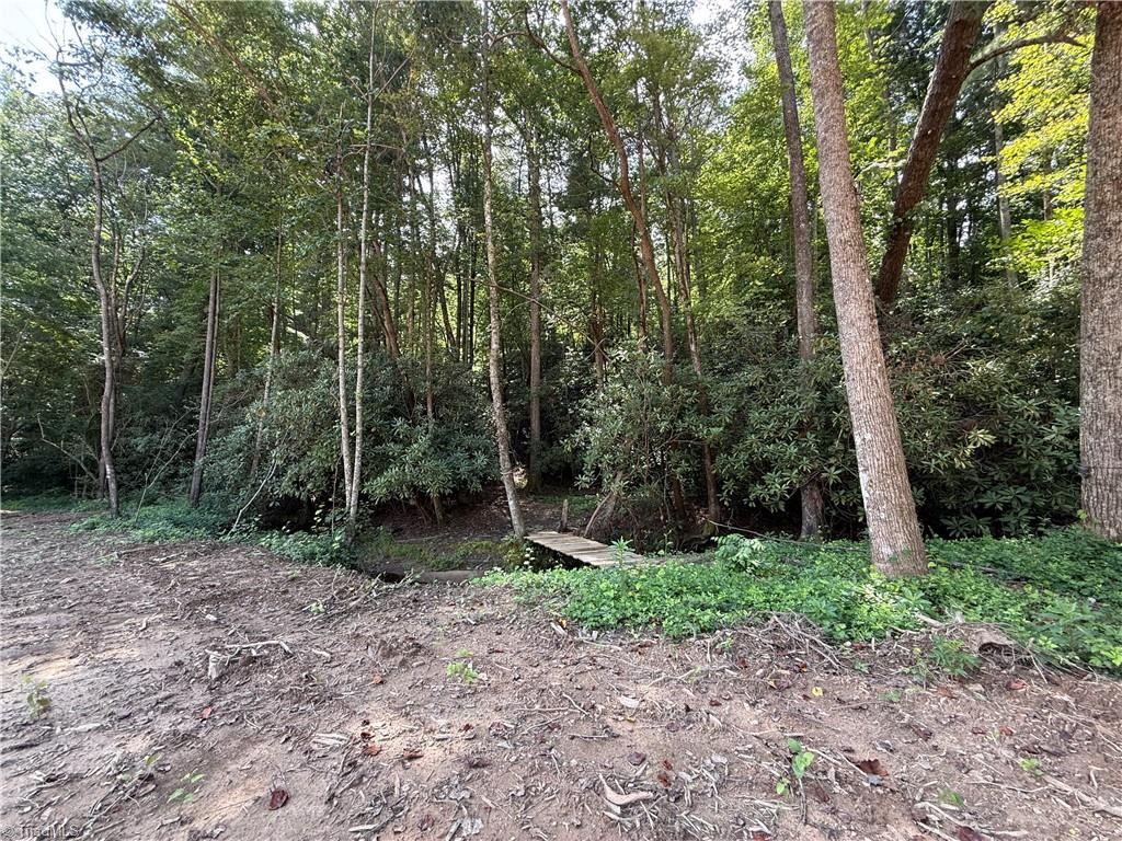 Tbd Mountain Ridge Church Road Property Photo 14