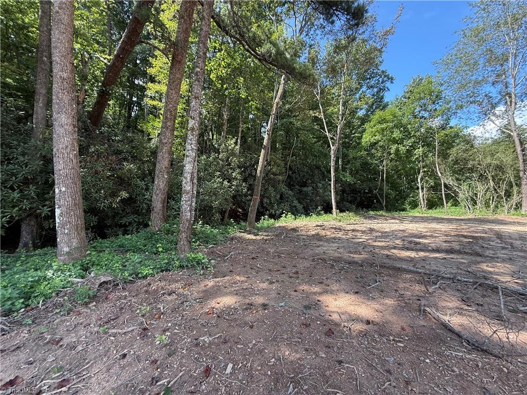 Tbd Mountain Ridge Church Road Property Photo 15