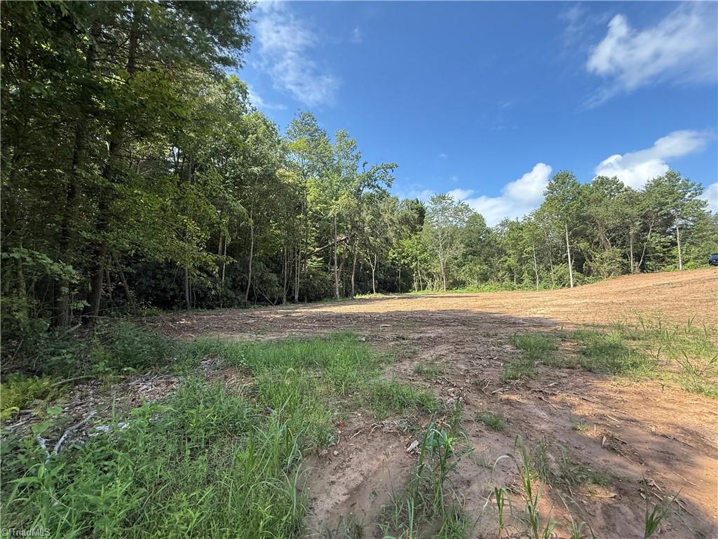 Tbd Mountain Ridge Church Road Property Photo 17